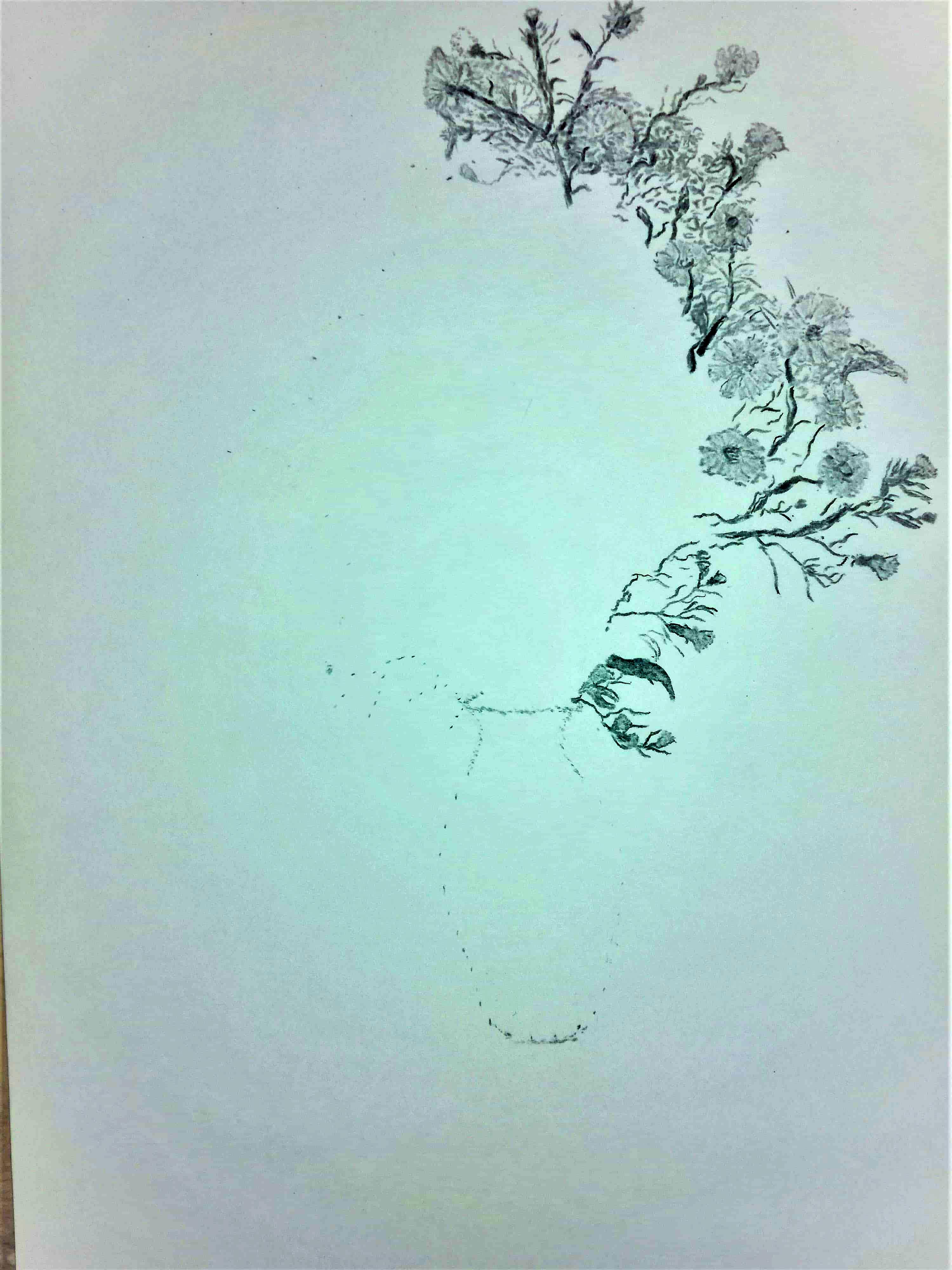 Dirk Nienemann, Künstler Holzkohlezeichnungen, Lehrte Hannover, Drucke Holzkohlezeichnungen,Abstrakte, Landschaft, Stillleben